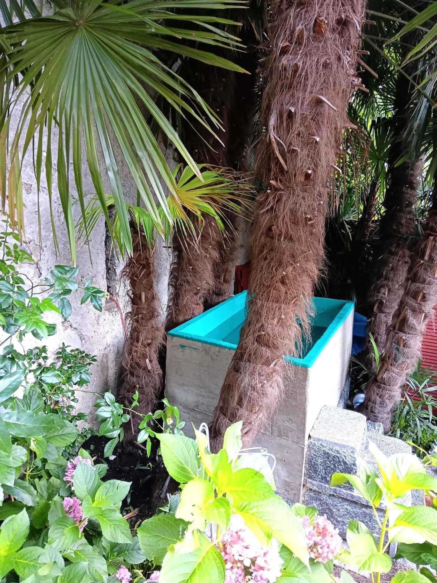 Dongio Casa Belgeri - Bed & Breakfast المظهر الخارجي الصورة